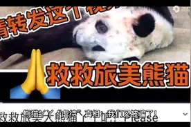 不要再说了视频封面
