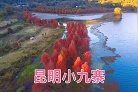 这里被誉为昆明的小九寨沟，我踩过坑以后，劝各位就不要再来了！视频封面