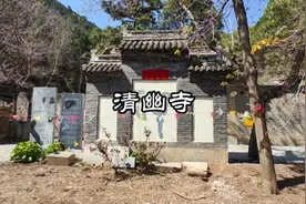 清幽寺位于河北涉县温庄，村后松柏相间一处古寺，即是清幽寺。