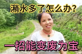 废弃潲水不易保存，3分钟让它变废为宝，成为家畜高能饲料视频封面