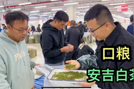 口粮安吉白茶上市，大鹏一口气拿了600斤，泡开满满兰花香视频封面