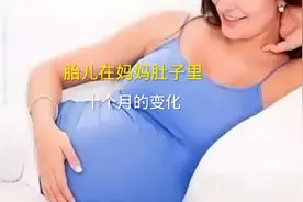 胎儿在妈妈肚子里，十个月的变化视频封面