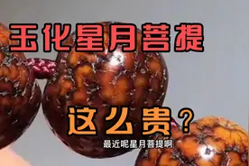 星月菩提玩的玉化了，能这么贵吗？我们来看看星月变化的4个阶段视频封面