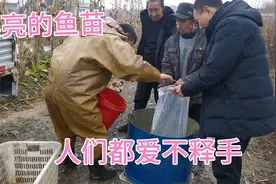 精心养的鱼儿终于可以出售啦！然而鱼塘还能给人带来更多的惊喜！视频封面