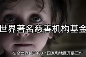 世界著名的慈善机构基金会