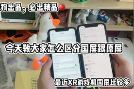 今天教大家怎么去区分国屏跟原屏🍎📱最近XR游戏机太多了视频封面