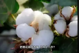 把棉花做成衣服，总共分几步？视频封面