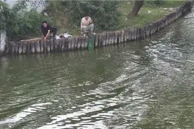 上海浦东新区钓鱼人，钓鱼的好地方视频封面