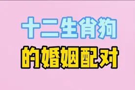 十二生肖，狗的婚姻配对，来看看你嫁对了吗视频封面
