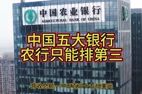 中国五大银行，农行只能排到第三视频封面