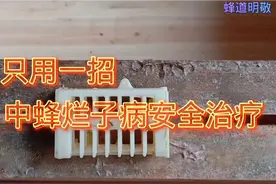 简单一招，中蜂烂子病安全治疗视频封面