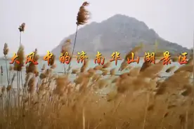 大风中的济南华山湖景区视频封面