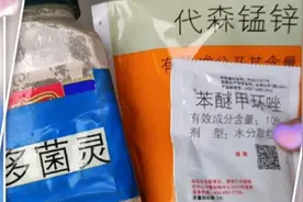 多肉叶斑病，掉叶片，不用买的杀菌剂。继续试用高锰酸钾治疗！视频封面