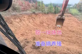 在鱼塘旁边开挖一块场地，准备搭个棚子养殖麻鸭，鸭粪就流入鱼塘视频封面