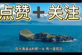 海豚背上的孩子视频封面