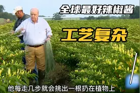 揭秘辣椒酱工厂：发酵三年的墨西哥辣椒酱视频封面