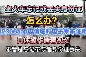 乘车前身份证丢失或忘记带？1月15日12306app申请电子身份证开通视频封面