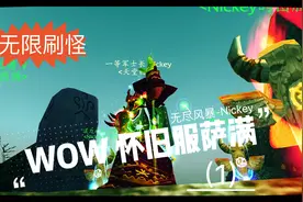 【魔兽世界怀旧服】wlk 萨满无限爆炸刷怪升级打钱经验分享（1）视频封面