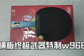 乒乓球横板怎么选，2000元价位一套底板搭配，正反手弧圈无敌存在视频封面