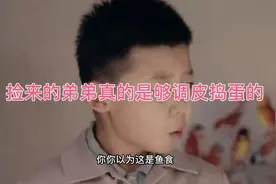 捡来的乞丐弟弟让一家人手忙脚乱视频封面