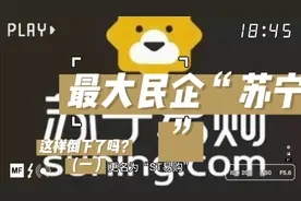 中国最大的民营企业“苏宁”就这样倒下去了吗？视频封面