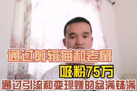 通过猫和老鼠的混剪、二剪在抖音平台进行变现和引流，吸粉72万视频封面