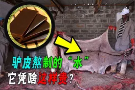 同样是动物皮，为啥猪皮只能做肉冻，驴皮却能包装成阿胶卖天价？视频封面