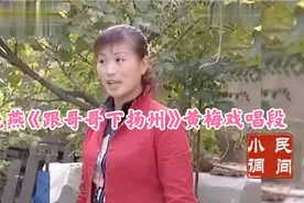 民间小调:刘晓燕《跟哥哥下扬州》经典黄梅戏唱段视频封面