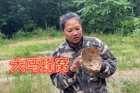 捅马蜂窝后续，看大山吃天鹅肉那家伙，黑龙江的资源真多。视频封面