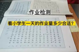 作业检测，看小学生一天的作业量多少合适？儿时写完作业就干家务视频封面