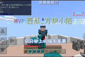 花雨庭可以刷经验？分分钟上40级那都不是事！你学废了吗？