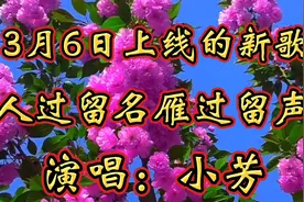 小芳最新歌曲！好听至极！《人过留名雁过留声》歌声柔美委婉动听视频封面