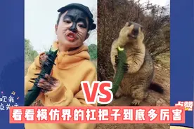 娃娃脸小七，被称为全网模仿界的扛把子，90后重庆女孩的爆红之路视频封面