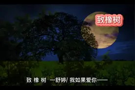 致 橡 树  —舒婷视频封面