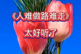 《人难做 路难走 》句句经典。听者都受益。视频封面