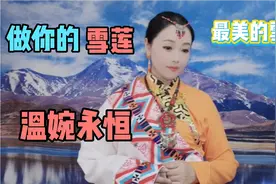 做你的雪莲，最美的雪莲花，默默地盛开在雪域视频封面