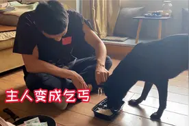 主人装扮成乞丐回家，狗狗会有什么反应？狗的行为让人不可思议视频封面