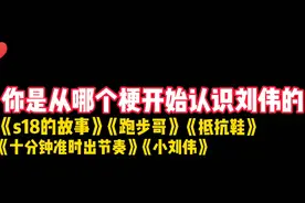 《王者盘点》你是从哪个梗开始认识刘伟的 还记得S18的故事吗视频封面