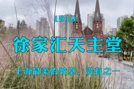 徐家汇天主堂，上海最美的教堂，没有之一视频封面
