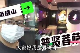 普贤菩萨的座骑是六牙白象，那么六牙代表了什么呢？视频封面