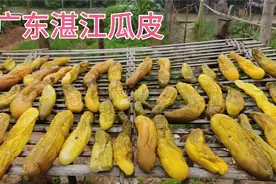 湛江黄瓜，学会在家自制广东脆瓜皮，只需简单三步，酸爽又开胃视频封面