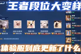 S26排位新增两个高级段位，瑶妹李信按键皮肤已出，新英雄开测视频封面