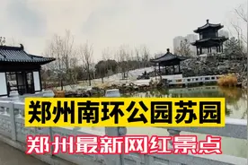 郑州最新网红景点南环公园雪中苏园 开园后游客络绎不绝 人山人海视频封面