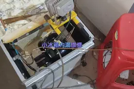 小冰箱内漏如何开背维修经验分享给大家。视频封面
