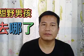 丁真成立公司，注册资本300万，那个甜野男孩去哪了？视频封面