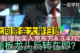 北向资金大举扫货 持股增入京东方A 3.47亿股，面板龙头反转在即视频封面