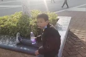 调皮蛋视频封面
