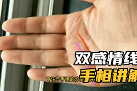 双感情线手相视频封面