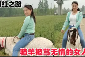 全网第一个骑羊的女人，她被网友攻击为无情冷血，羊到底能不能骑视频封面