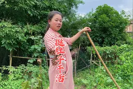 农村媳妇怀孕5个多月，挺着大肚子干农活，娶这媳妇真是太幸福了视频封面